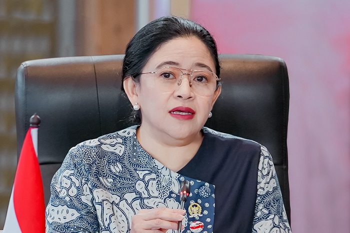 Ketua DPP PDI Perjuangan Puan Maharani. (Facbook.com/@Puan Maharani)
